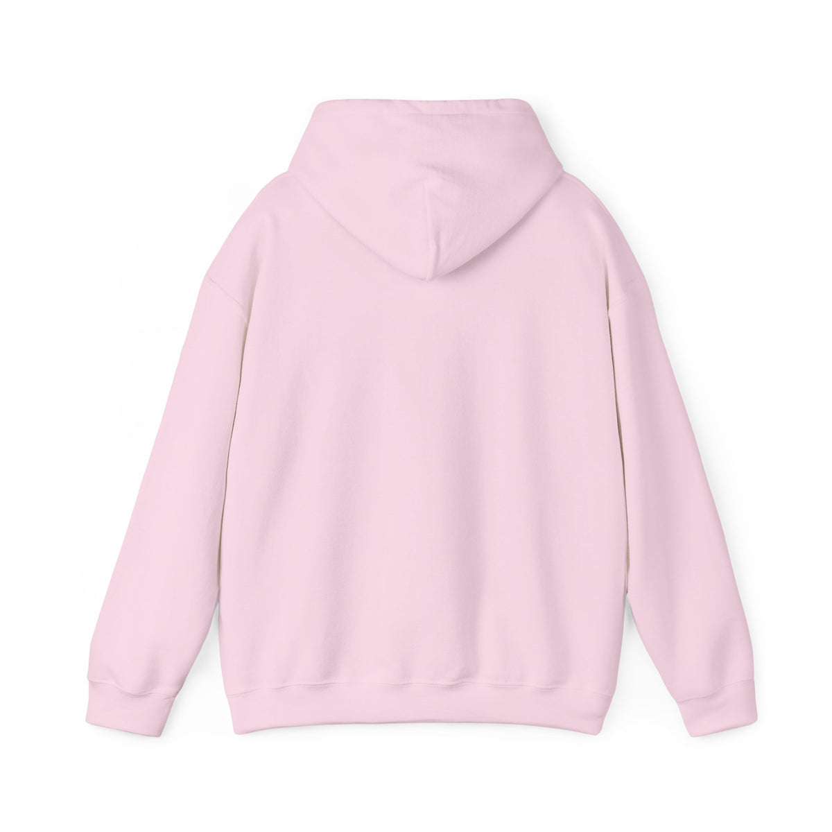 Hoodie — Earth Illustration "Small Steps, Big Places" Eco Travel Sweatshirt